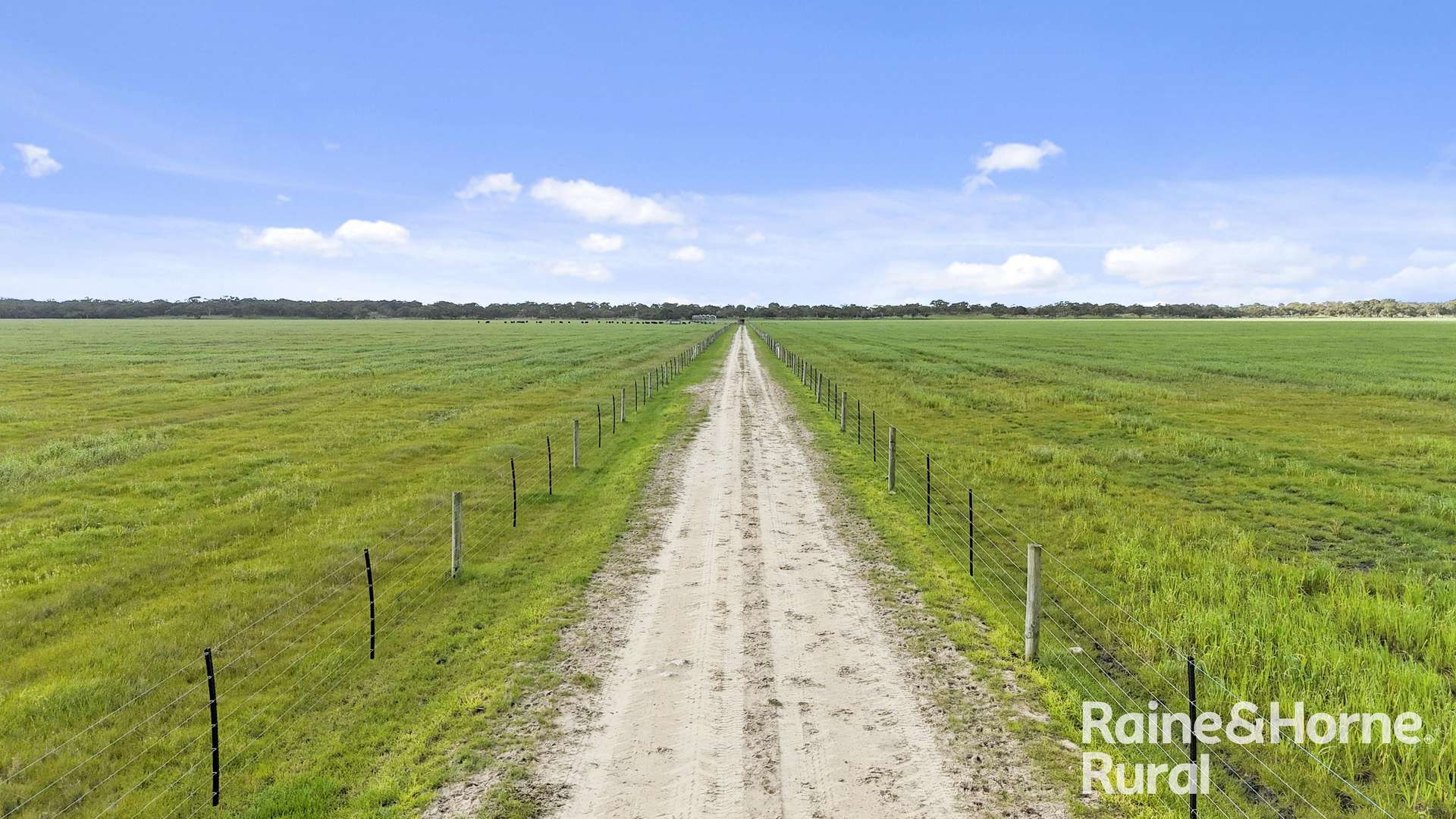 556 Mail Bridge Road, Reedy Creek For Sale by Farmbuy.com - image 2