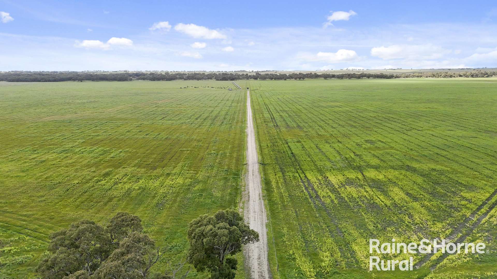 556 Mail Bridge Road, Reedy Creek For Sale by Farmbuy.com - image 6