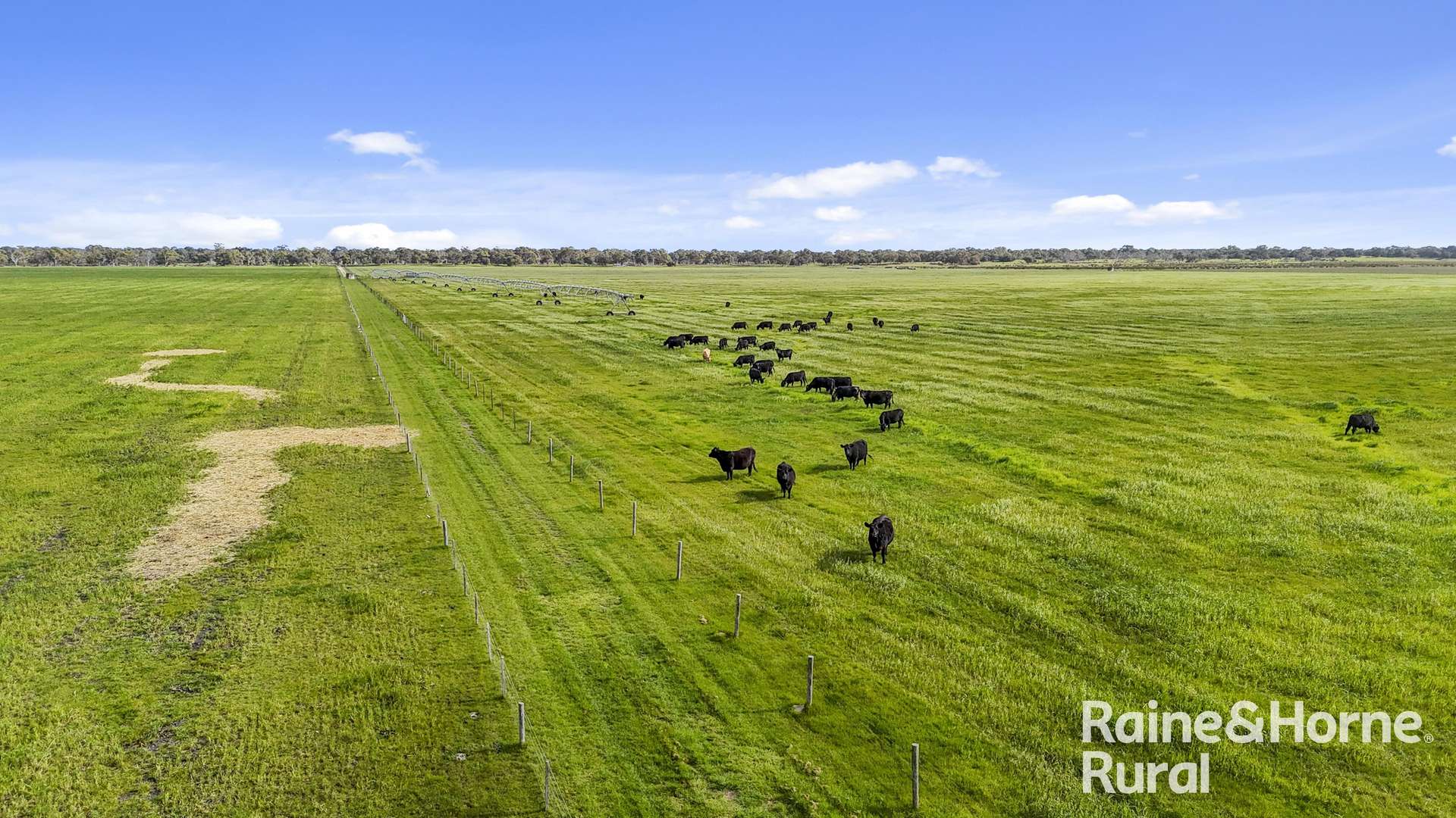 556 Mail Bridge Road, Reedy Creek For Sale by Farmbuy.com - image 9