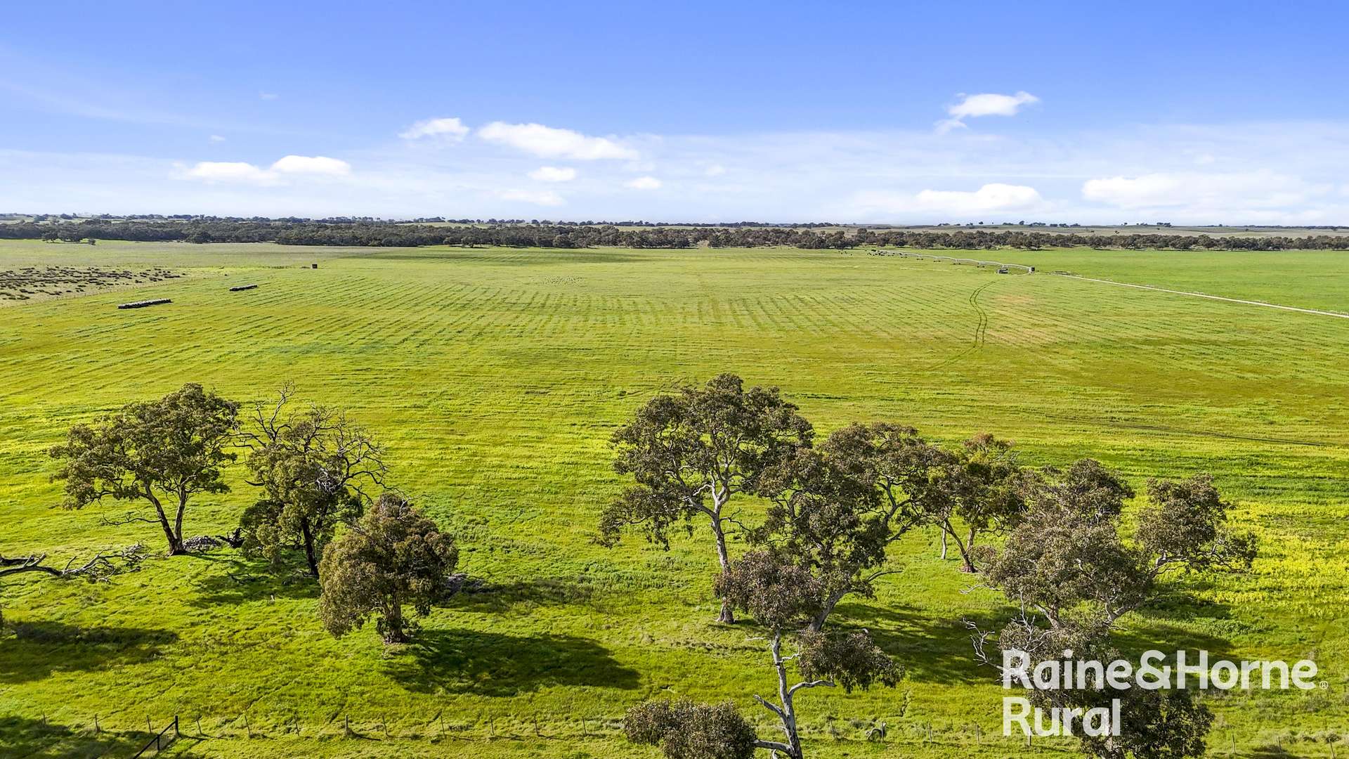 556 Mail Bridge Road, Reedy Creek For Sale by Farmbuy.com - image 19