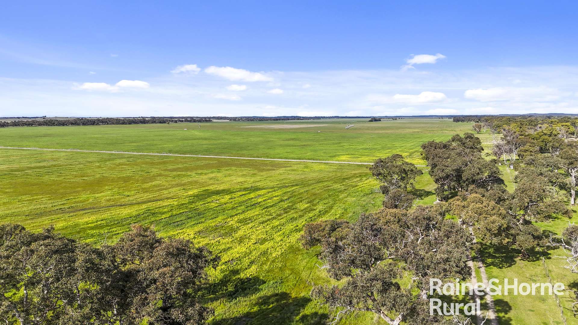 556 Mail Bridge Road, Reedy Creek For Sale by Farmbuy.com - image 18