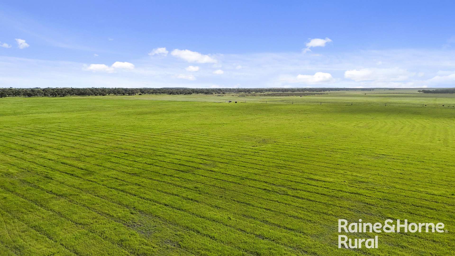 556 Mail Bridge Road, Reedy Creek For Sale by Farmbuy.com - image 16