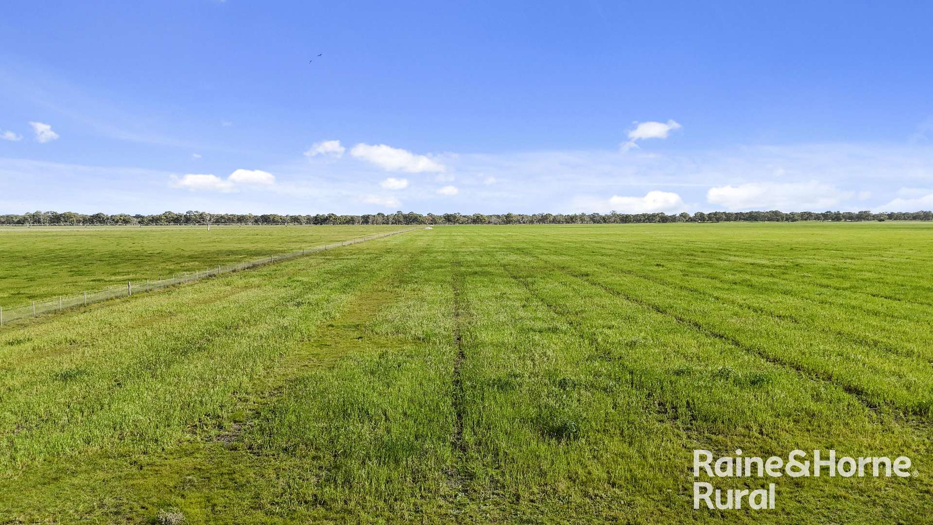 556 Mail Bridge Road, Reedy Creek For Sale by Farmbuy.com - image 15