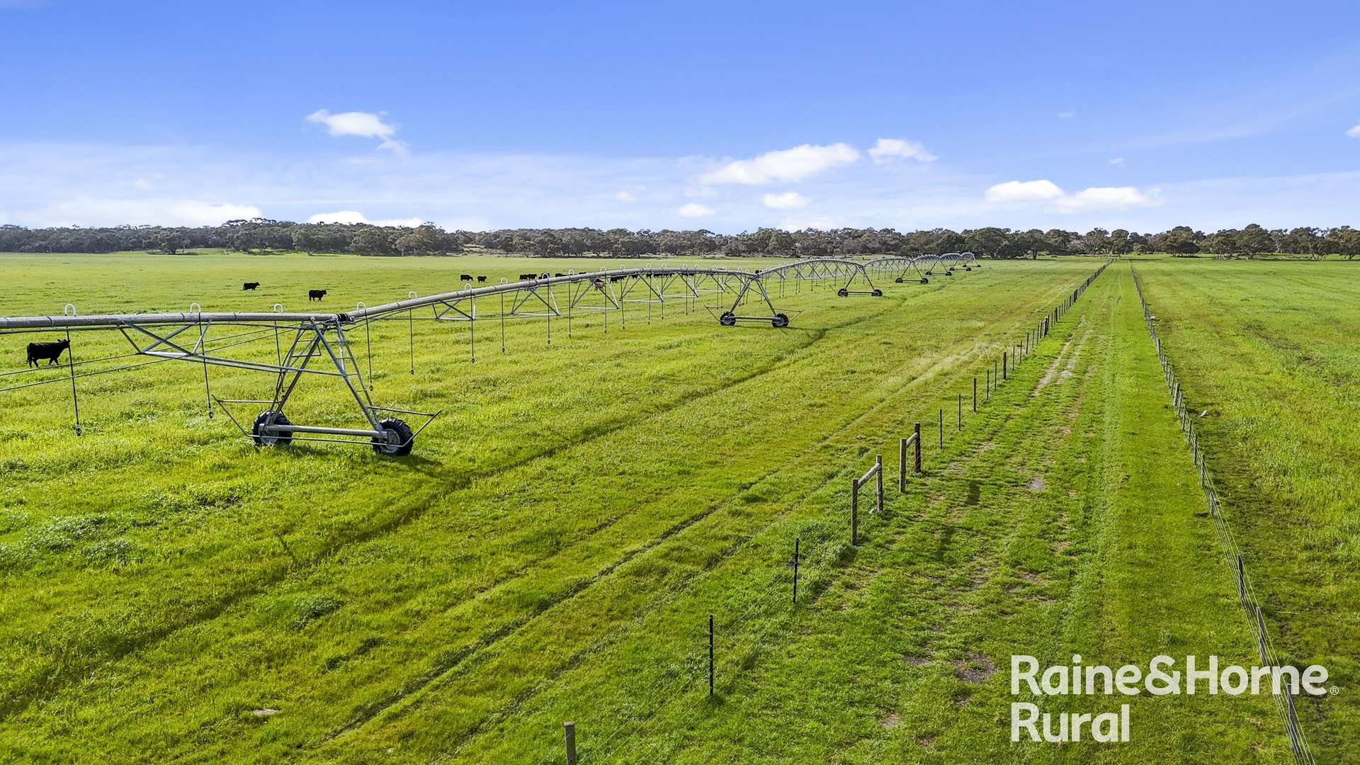 556 Mail Bridge Road, Reedy Creek For Sale by Farmbuy.com - image 8
