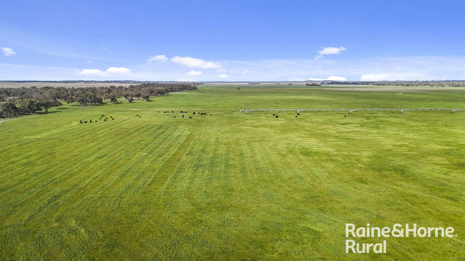 556 Mail Bridge Road, Reedy Creek For Sale by Farmbuy.com - image 11