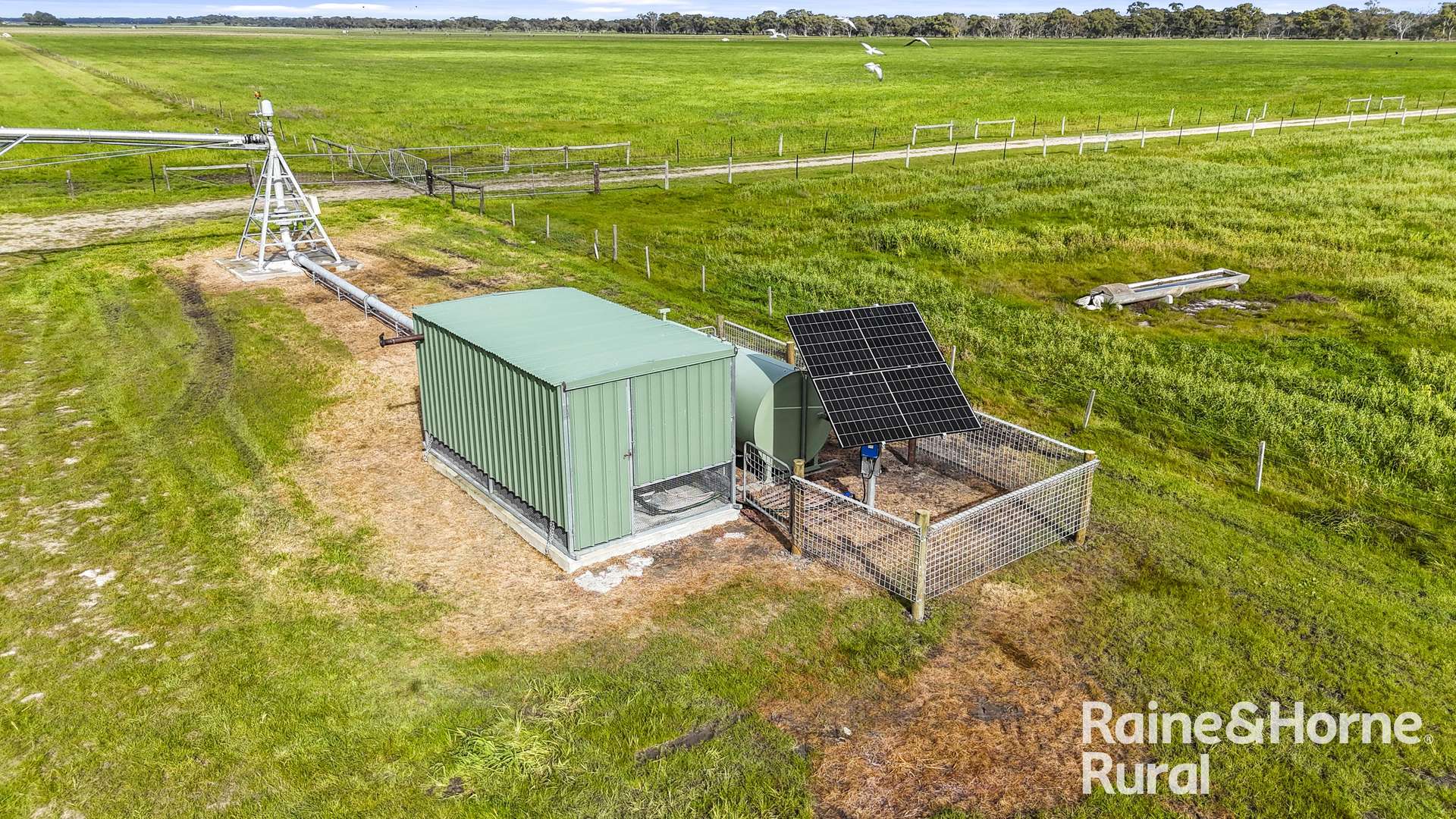 556 Mail Bridge Road, Reedy Creek For Sale by Farmbuy.com - image 4
