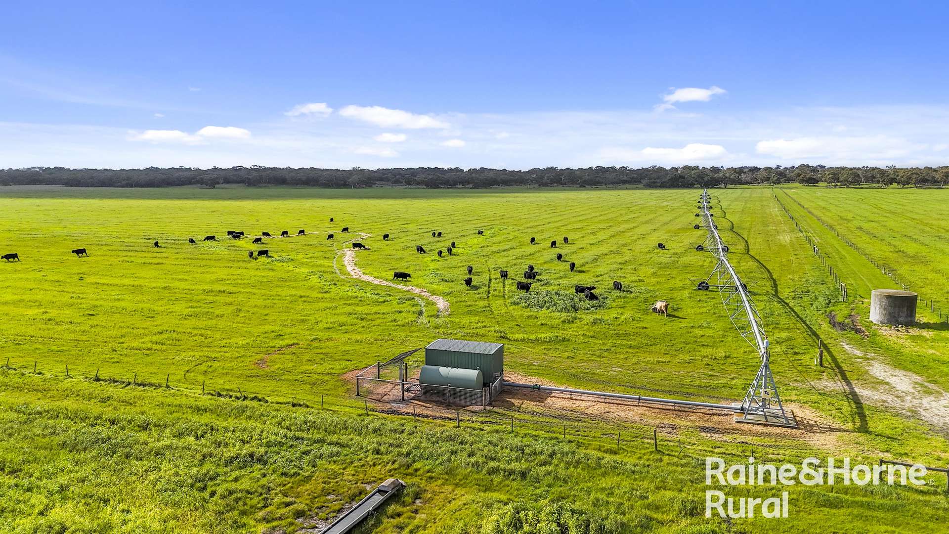 556 Mail Bridge Road, Reedy Creek For Sale by Farmbuy.com - image 3