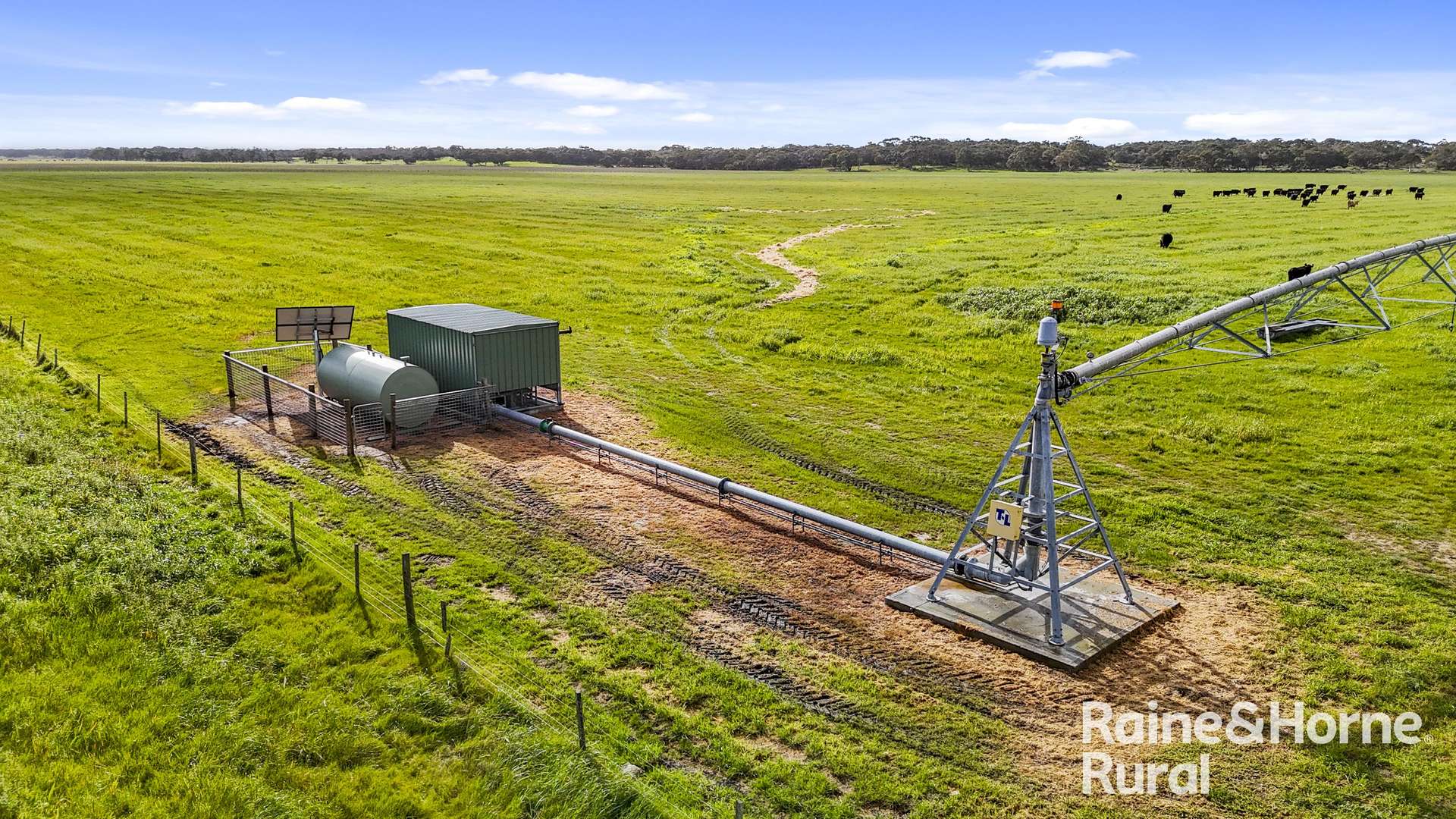 556 Mail Bridge Road, Reedy Creek For Sale by Farmbuy.com - image 7