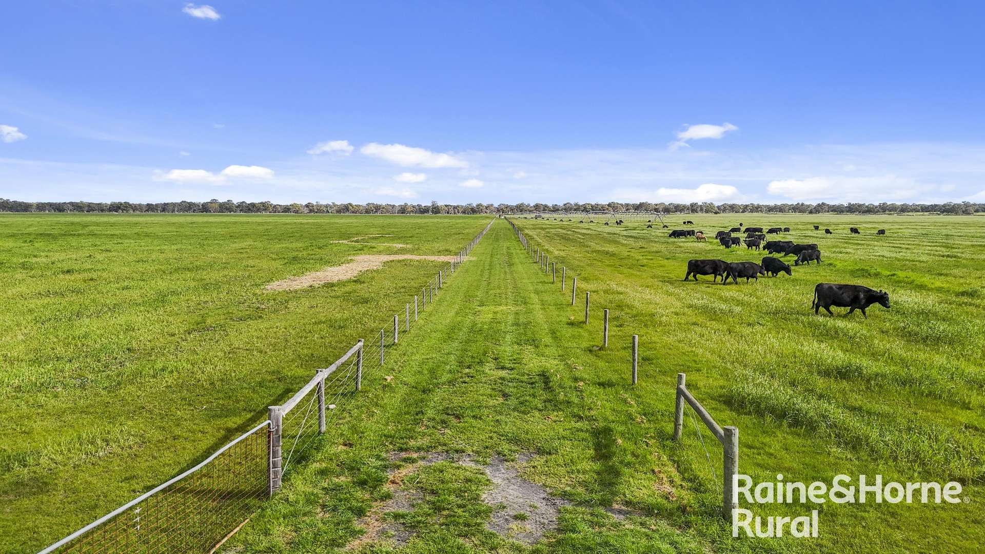 556 Mail Bridge Road, Reedy Creek For Sale by Farmbuy.com - image 10