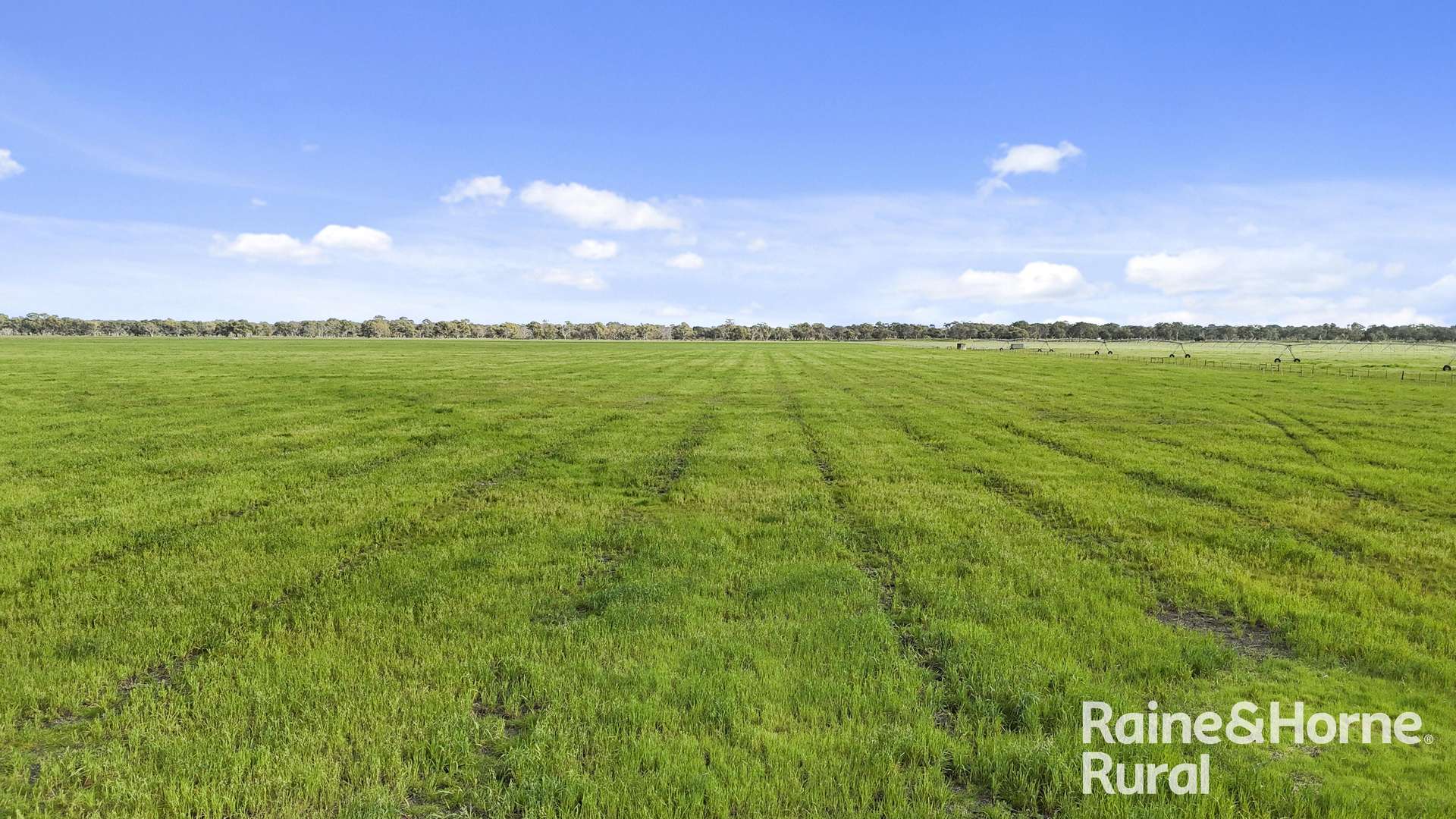 556 Mail Bridge Road, Reedy Creek For Sale by Farmbuy.com - image 13