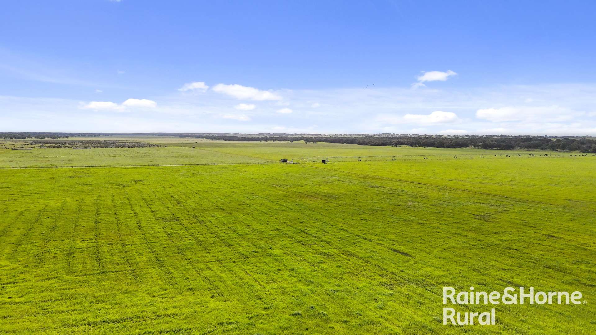 556 Mail Bridge Road, Reedy Creek For Sale by Farmbuy.com - image 17