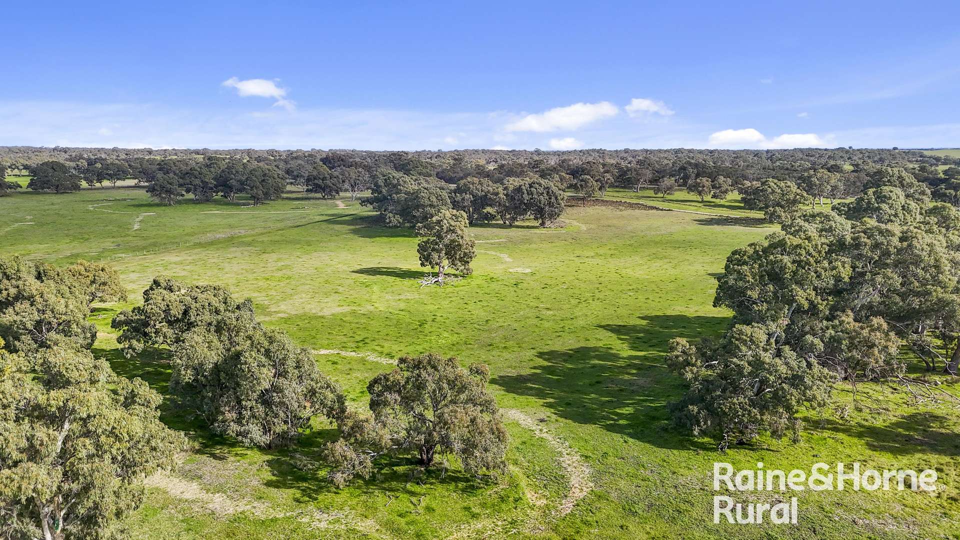 556 Mail Bridge Road, Reedy Creek For Sale by Farmbuy.com - image 21
