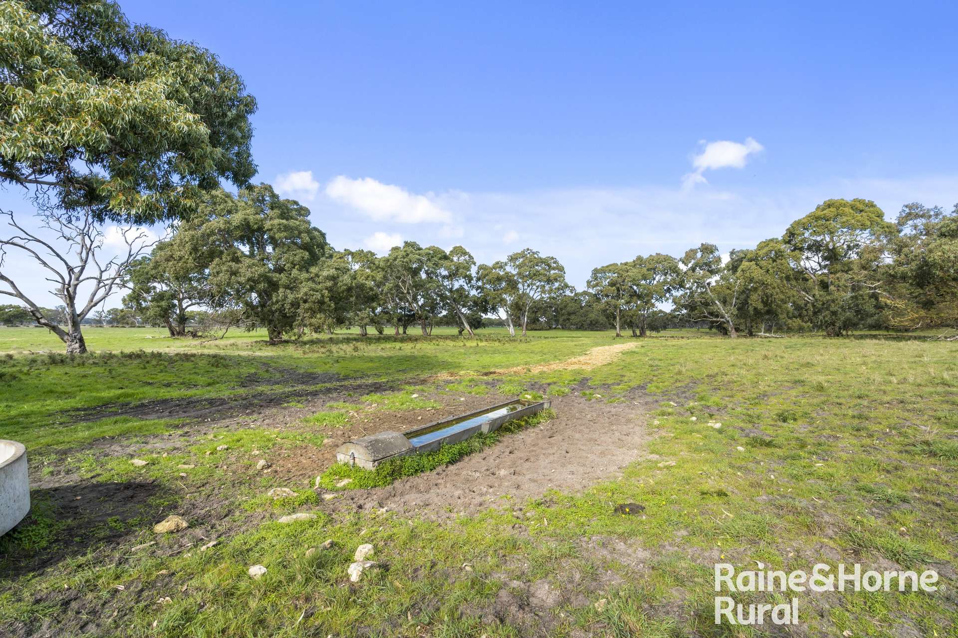 556 Mail Bridge Road, Reedy Creek For Sale by Farmbuy.com - image 20