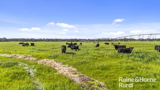 Farm For Sale - SA - Reedy Creek - 5275 - 462 Acres of Warmer Grazing, Hay & Irrigation Country 