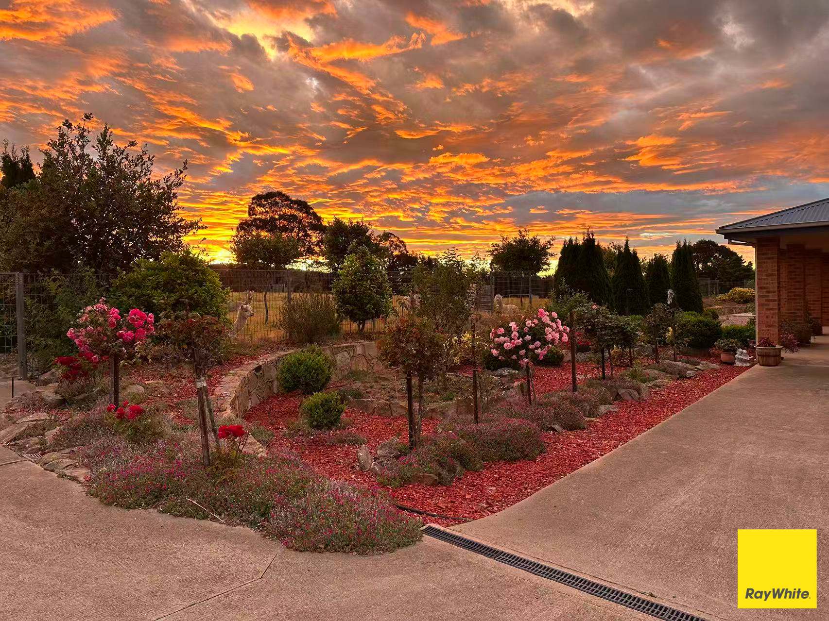 573 Norton Road, Wamboin For Sale by Farmbuy.com - image 3
