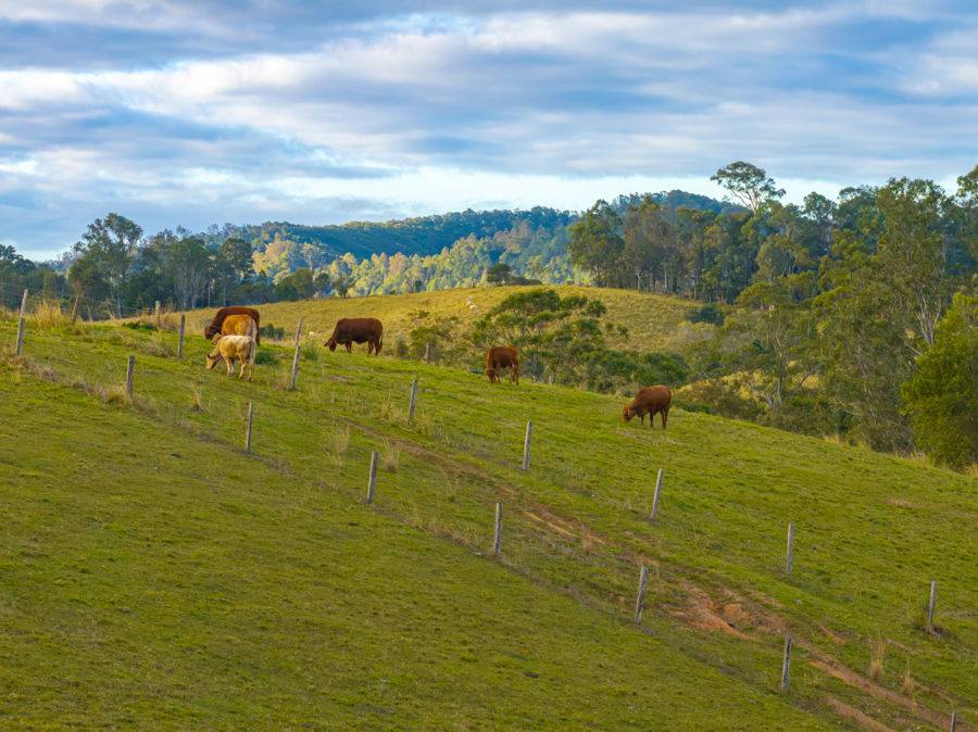 1611 Sandy Creek Road, Downsfield For Sale by Farmbuy.com - image 24