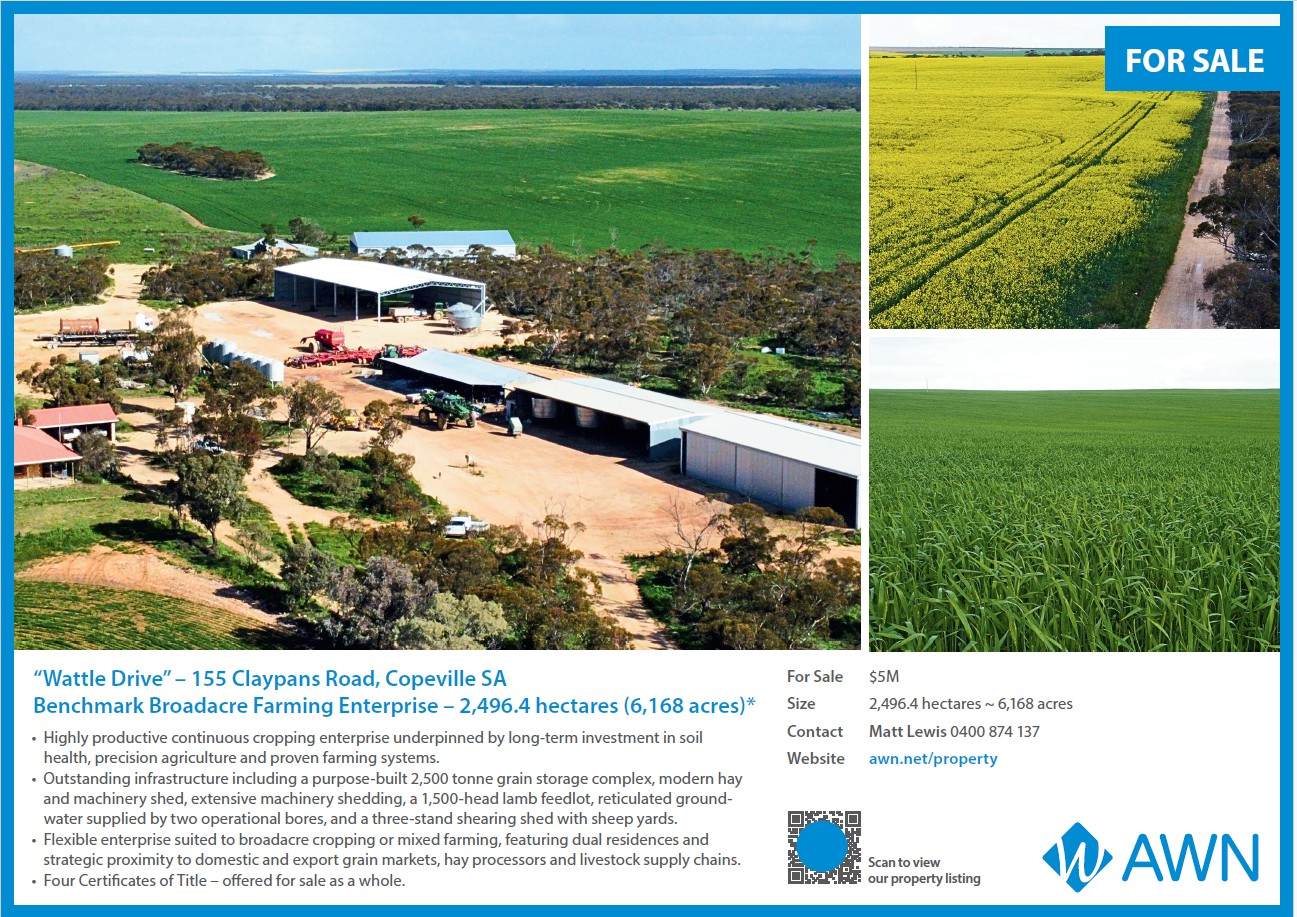 155 Claypans Road, Copeville For Sale by Farmbuy.com - image 28