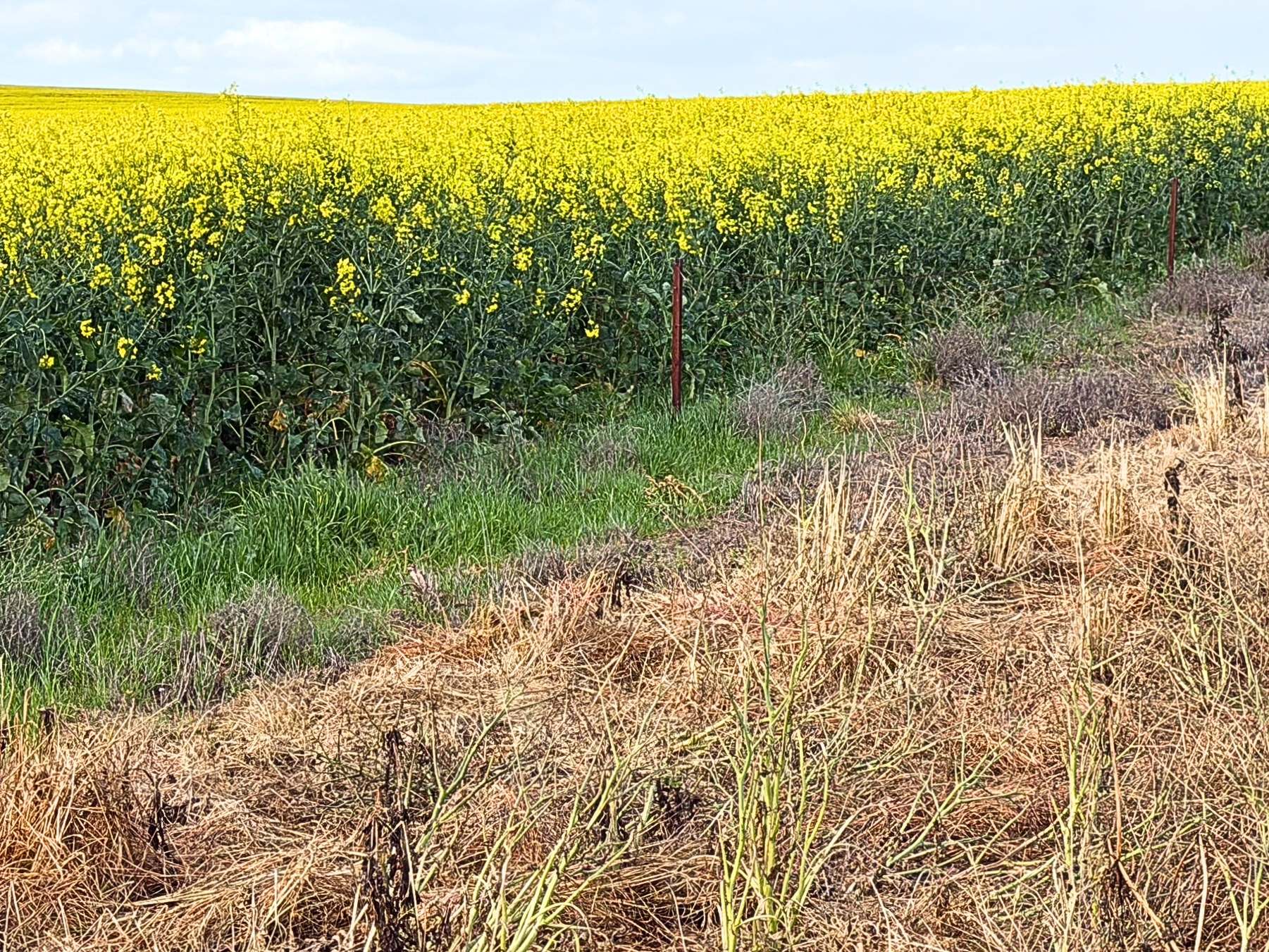 155 Claypans Road, Copeville For Sale by Farmbuy.com - image 24
