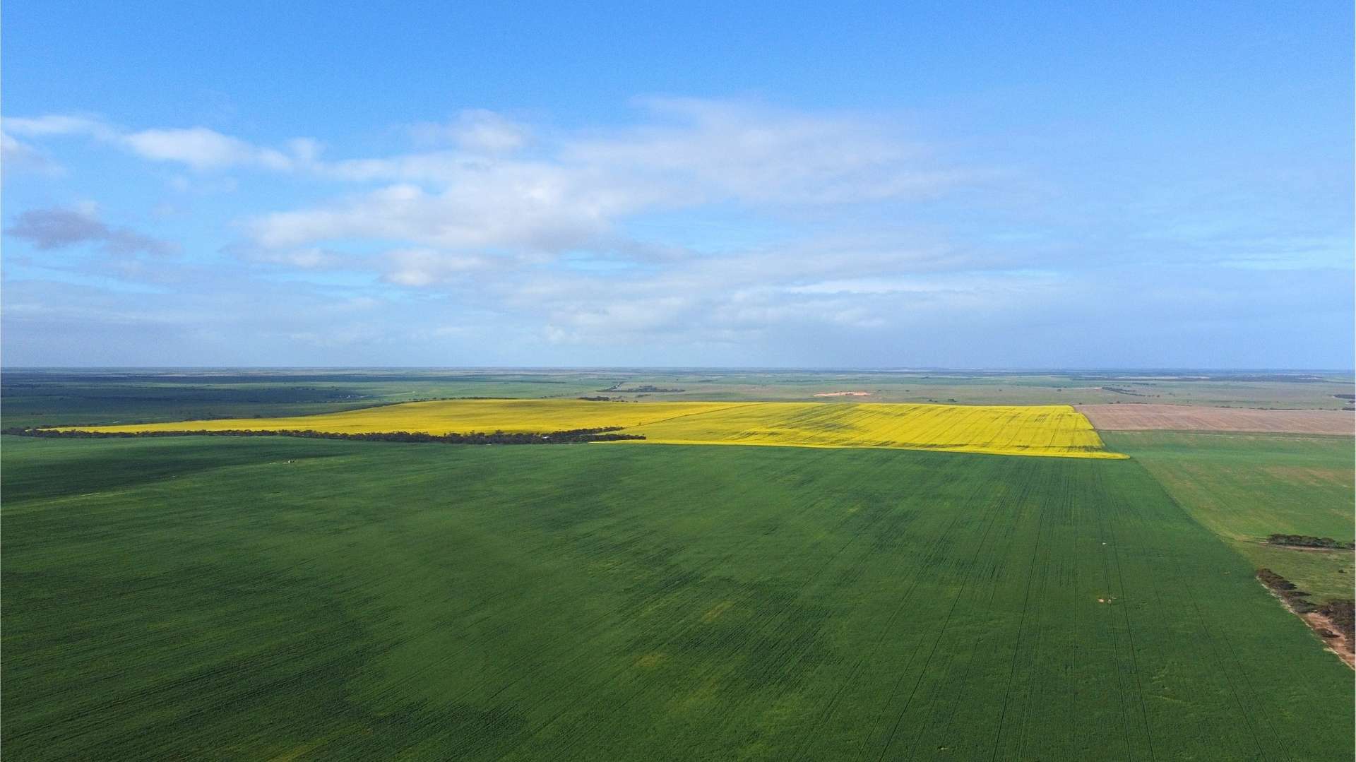 155 Claypans Road, Copeville For Sale by Farmbuy.com - image 2