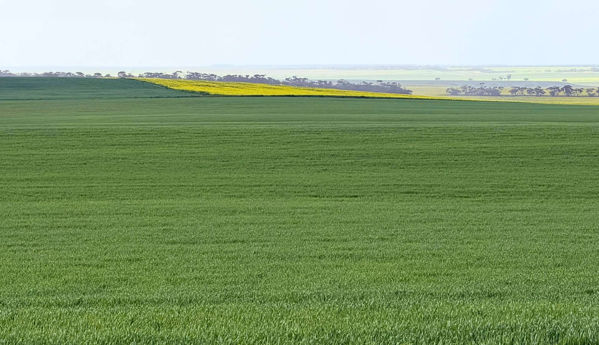 155 Claypans Road, Copeville For Sale by Farmbuy.com - image 25