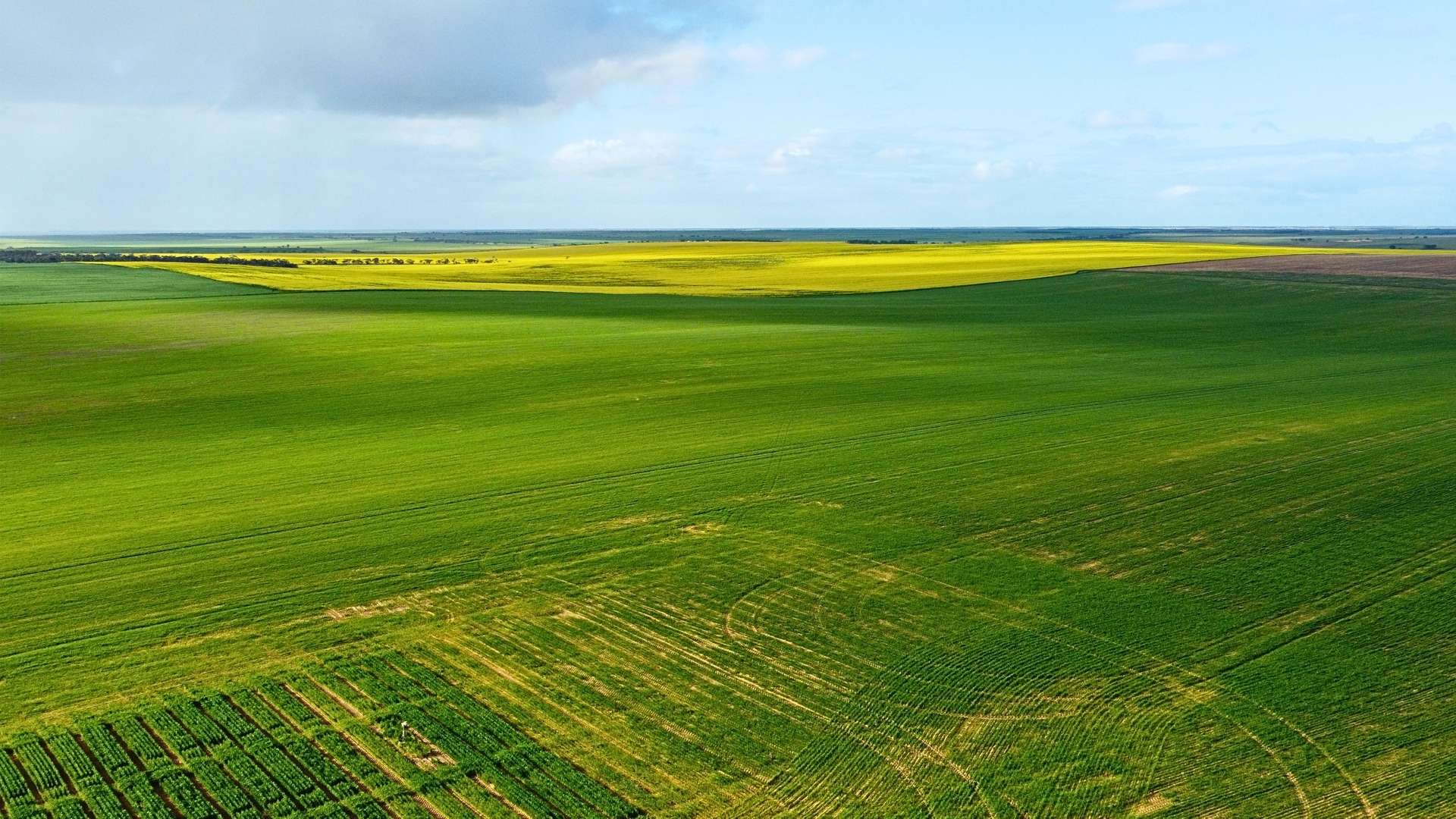 155 Claypans Road, Copeville For Sale by Farmbuy.com - image 7