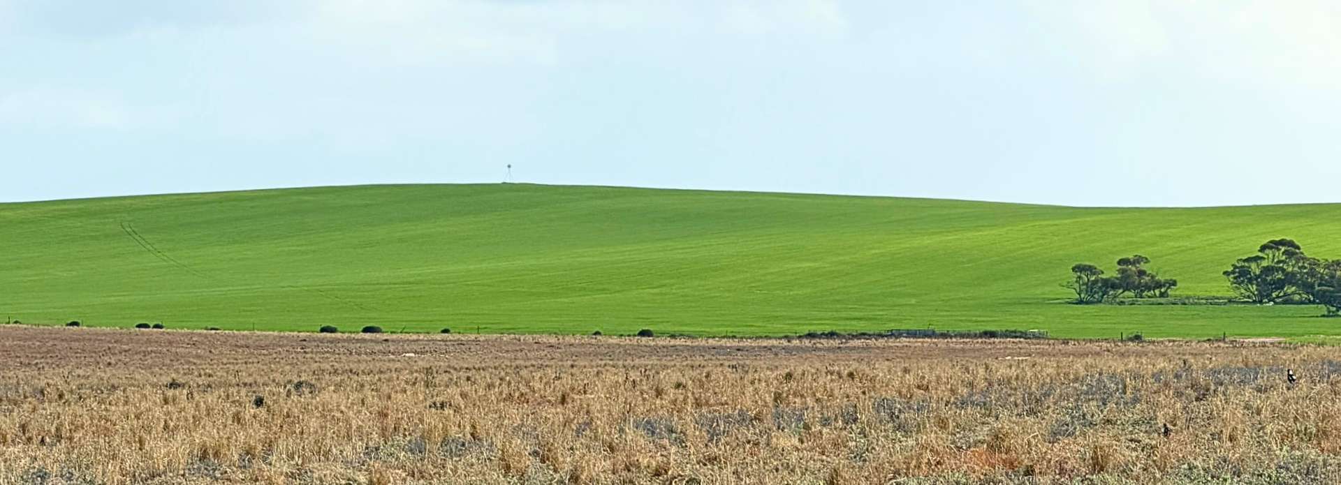 155 Claypans Road, Copeville For Sale by Farmbuy.com - image 3
