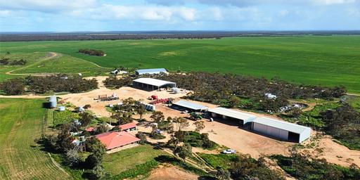 Farm For Sale - SA - Copeville - 5308 - Benchmark Broadacre Farming Enterprise 