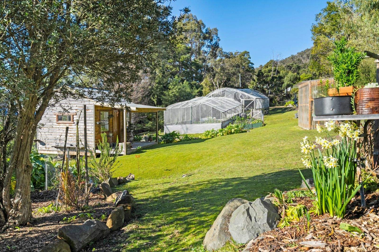 40 Ferntree Road, Eaglehawk Neck For Sale by Farmbuy.com - image 26