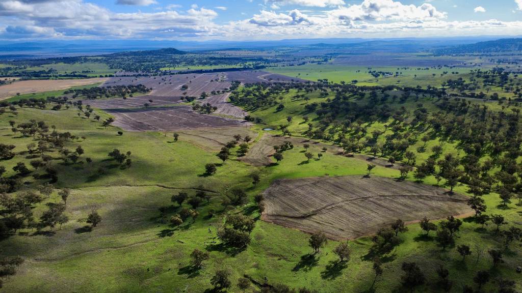 "Werribon" 201 Warrah Creek Road, Willow Tree NSW 2339