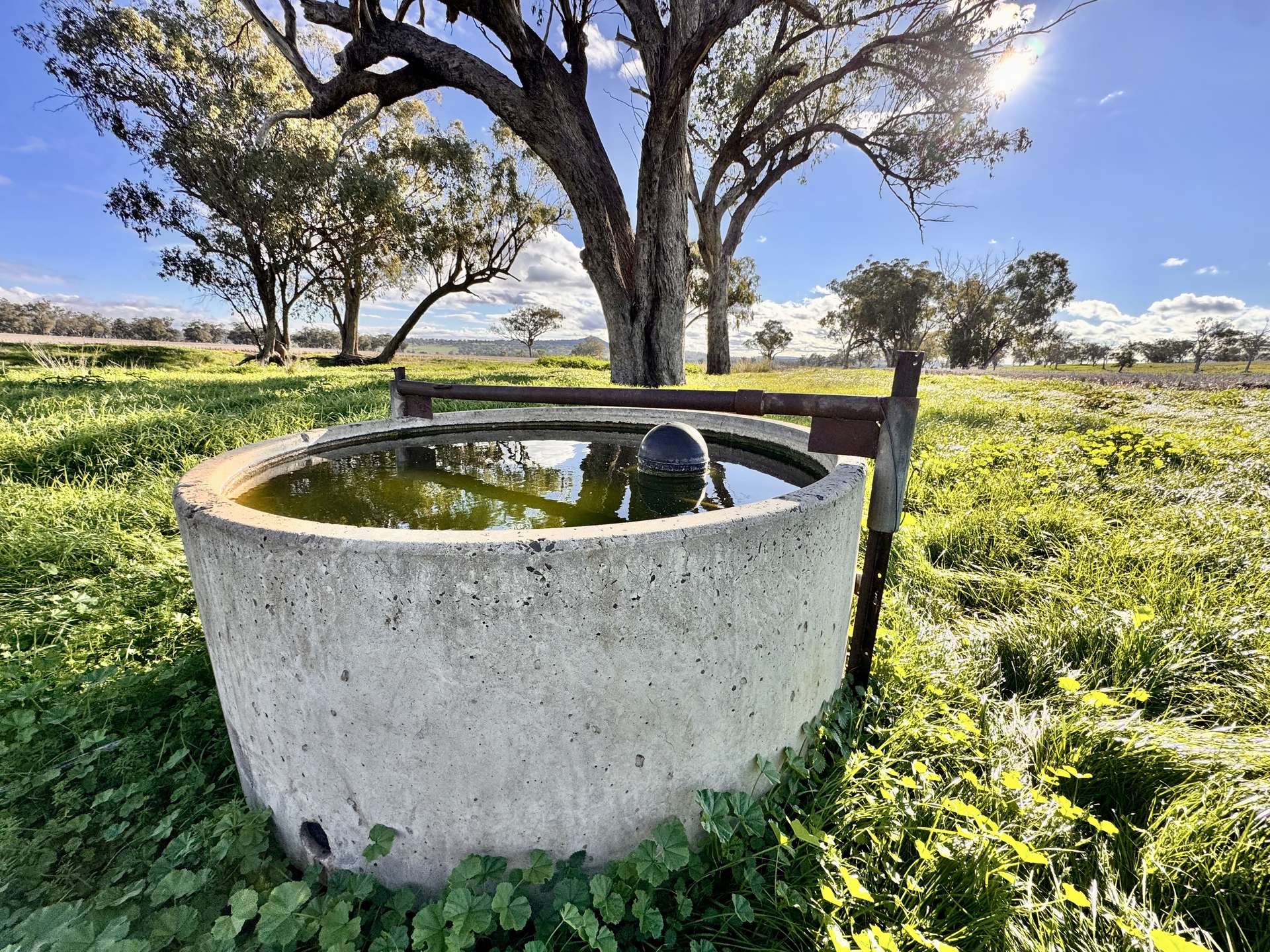 "Werribon" 201 Warrah Creek Road, Willow Tree Auction by Farmbuy.com - image 24