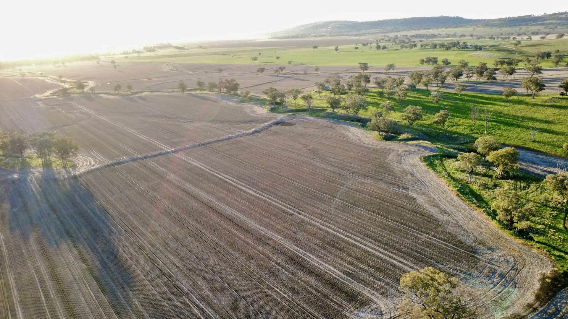 "Werribon" 201 Warrah Creek Road, Willow Tree Auction by Farmbuy.com - image 8