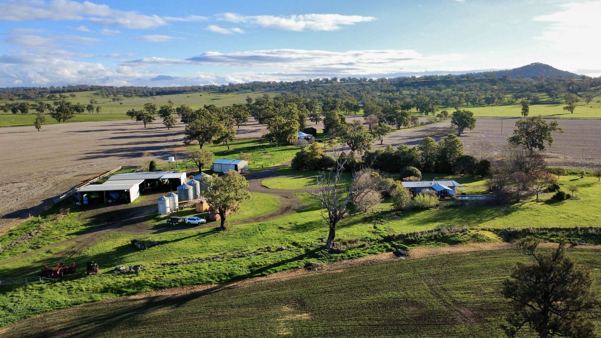 "Werribon" 201 Warrah Creek Road, Willow Tree Auction by Farmbuy.com - image 5