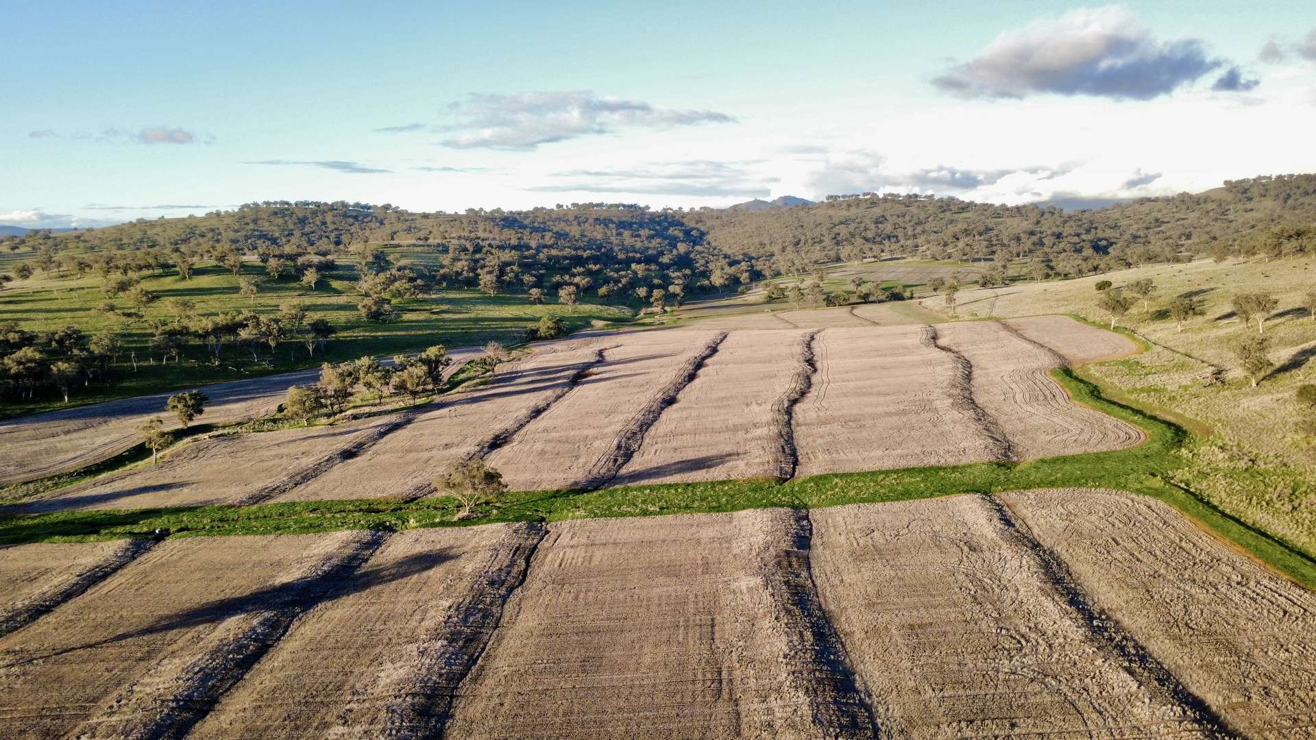 "Werribon" 201 Warrah Creek Road, Willow Tree Auction by Farmbuy.com - image 4