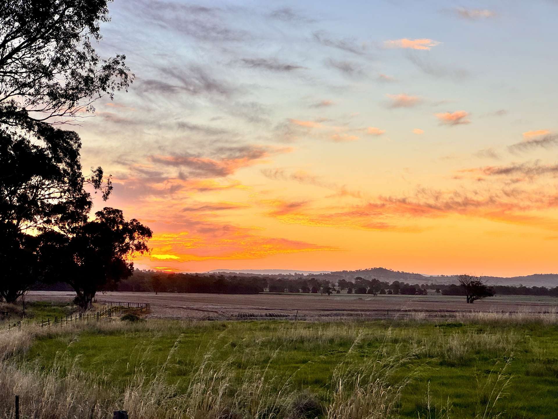 "Werribon" 201 Warrah Creek Road, Willow Tree Auction by Farmbuy.com - image 7