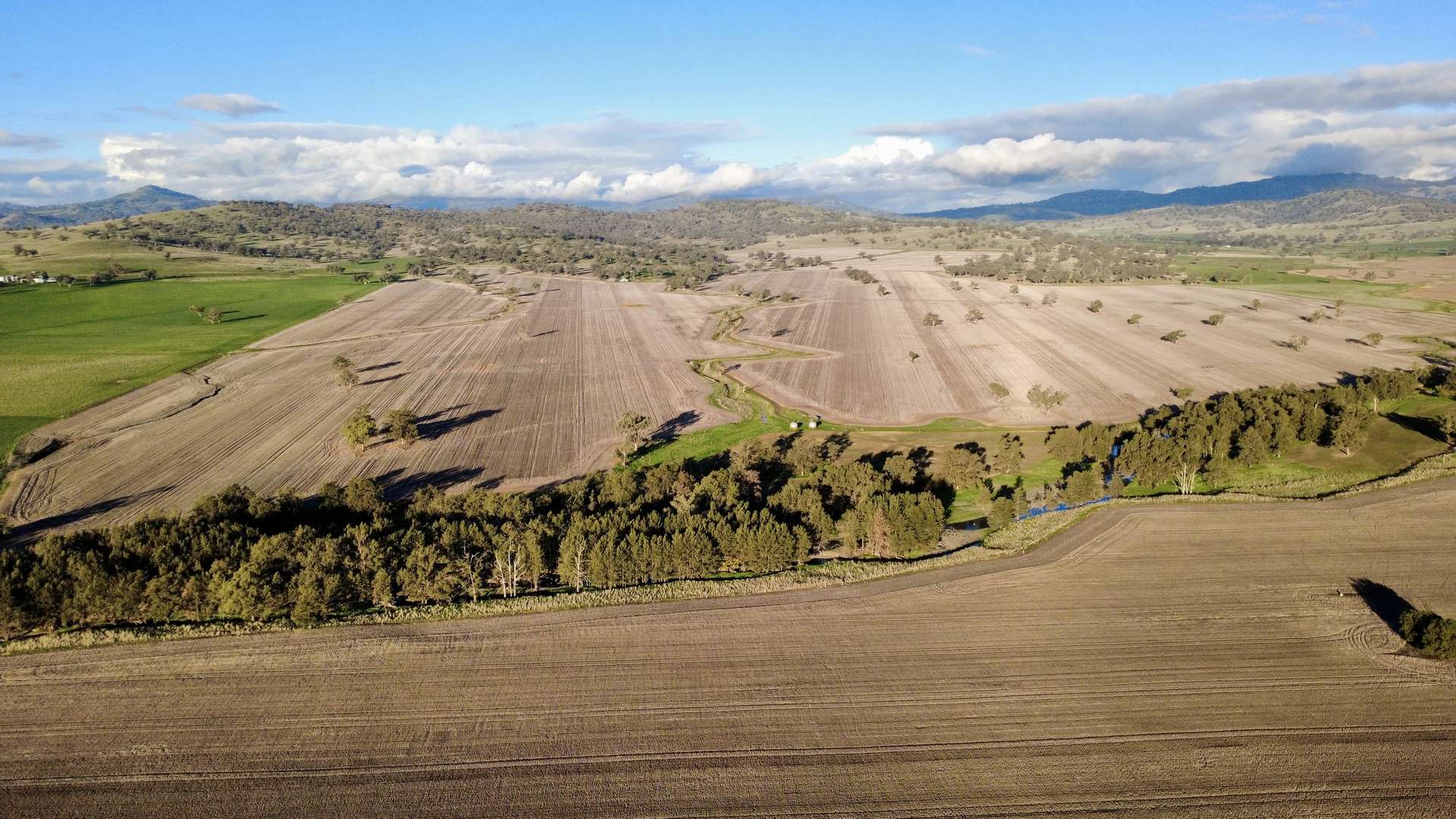 "Werribon" 201 Warrah Creek Road, Willow Tree Auction by Farmbuy.com - image 16