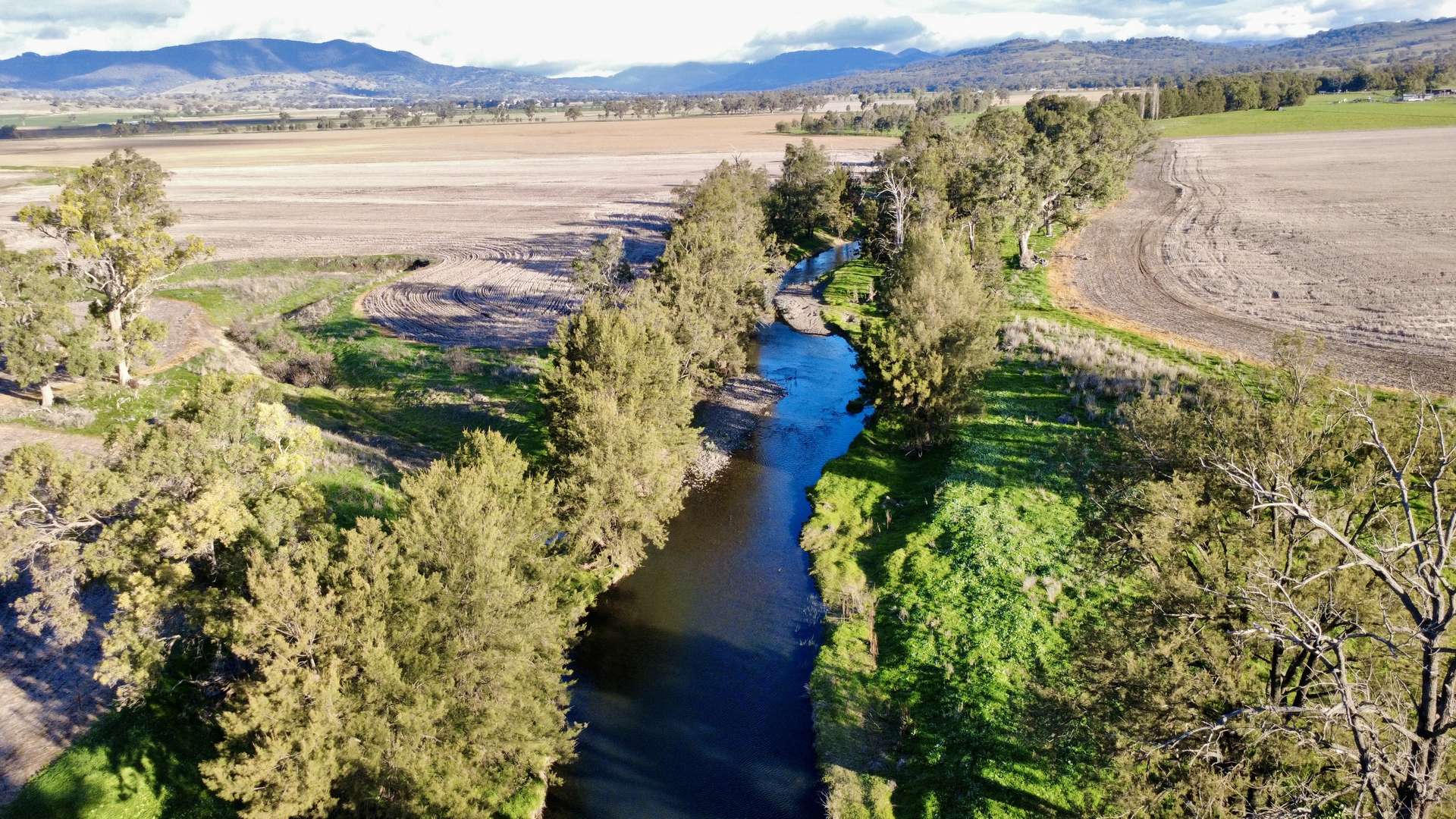 "Werribon" 201 Warrah Creek Road, Willow Tree Auction by Farmbuy.com - image 3