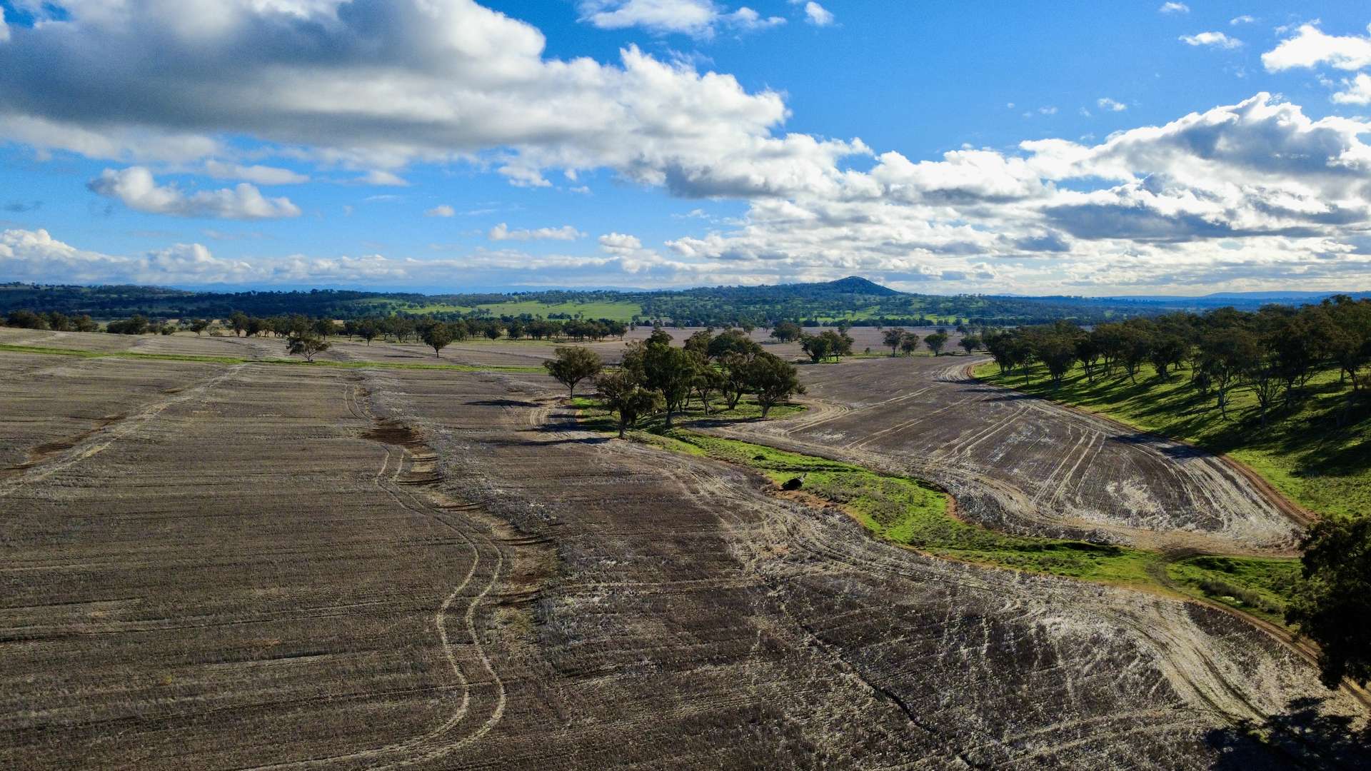 "Werribon" 201 Warrah Creek Road, Willow Tree Auction by Farmbuy.com - image 21