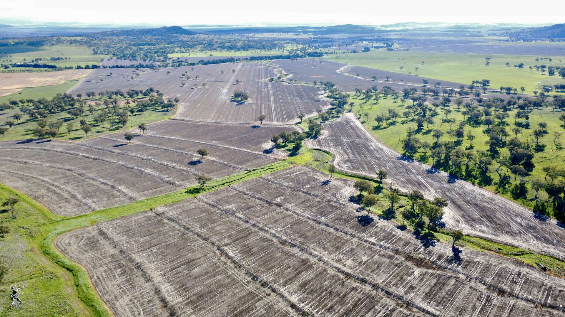 "Werribon" 201 Warrah Creek Road, Willow Tree Auction by Farmbuy.com - image 22