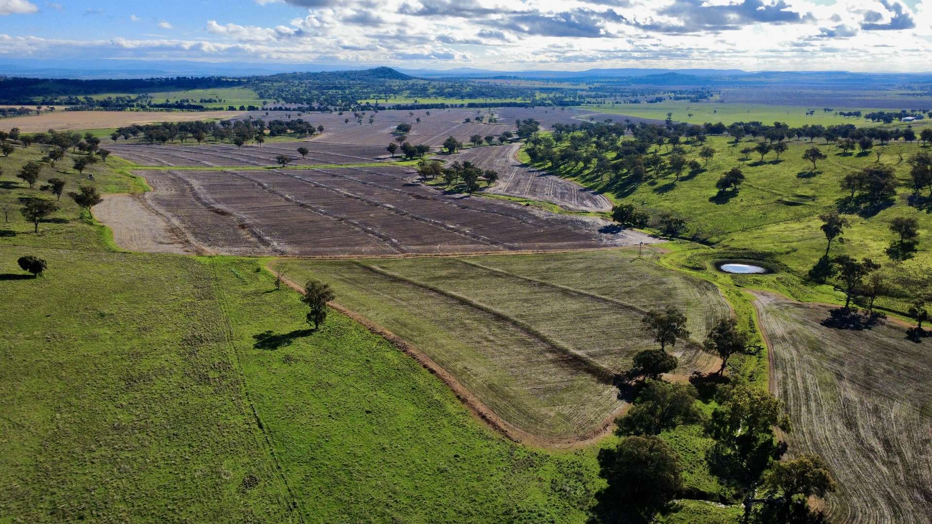 "Werribon" 201 Warrah Creek Road, Willow Tree Auction by Farmbuy.com - image 23