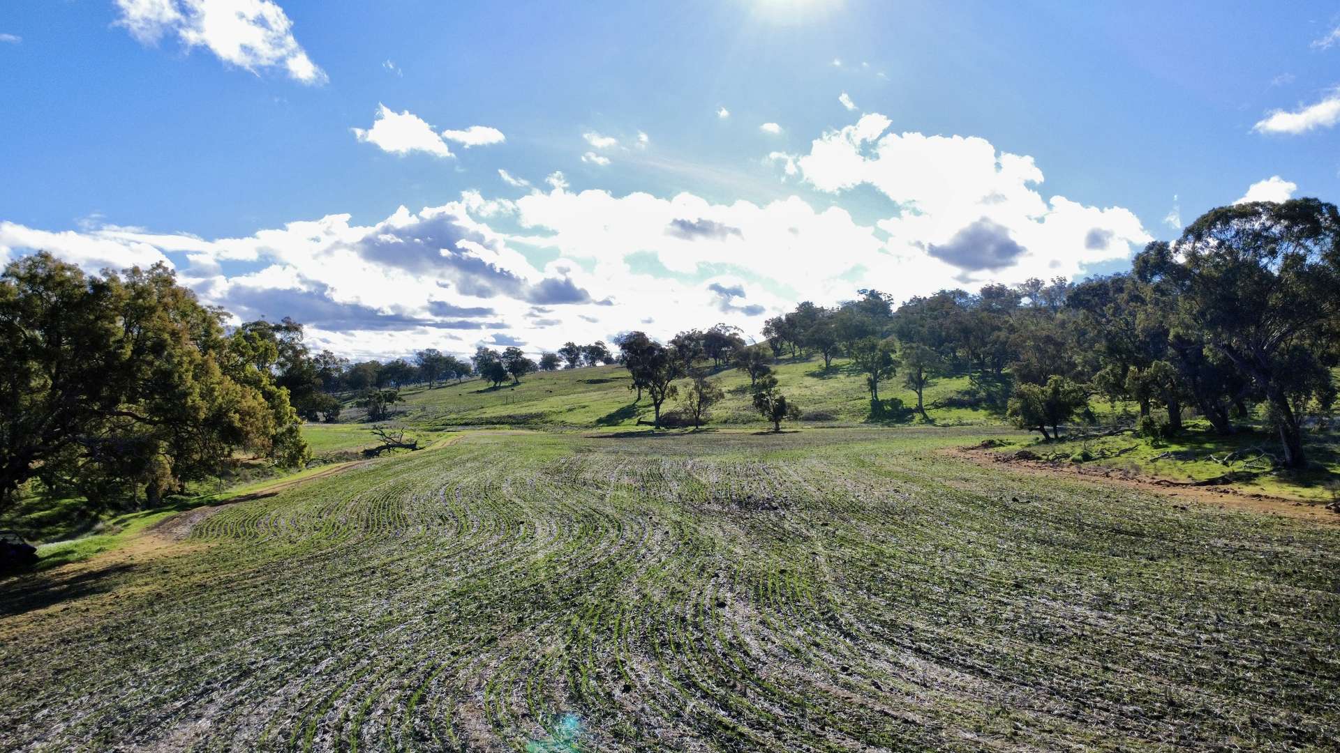 "Werribon" 201 Warrah Creek Road, Willow Tree Auction by Farmbuy.com - image 20