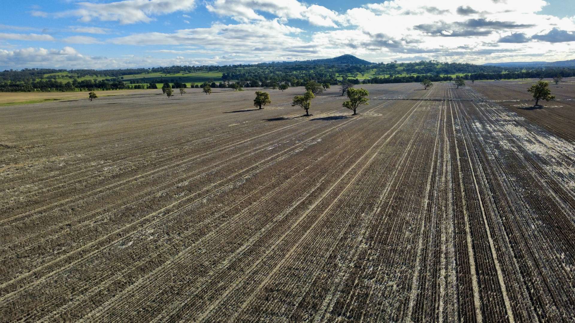 "Werribon" 201 Warrah Creek Road, Willow Tree Auction by Farmbuy.com - image 25