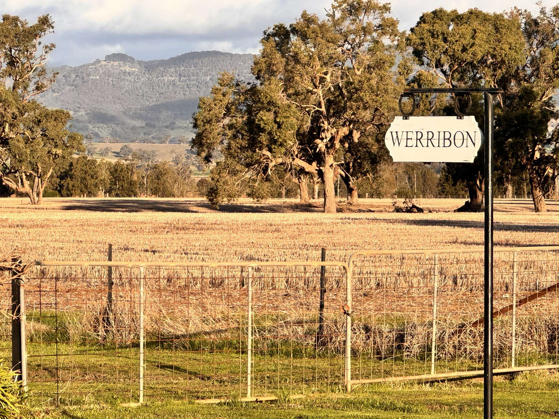 "Werribon" 201 Warrah Creek Road, Willow Tree Auction by Farmbuy.com - image 2