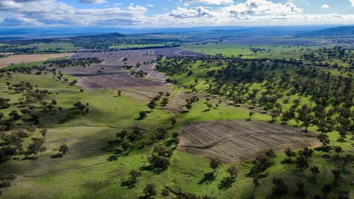 "Werribon" 201 Warrah Creek Road, Willow Tree NSW 2339
