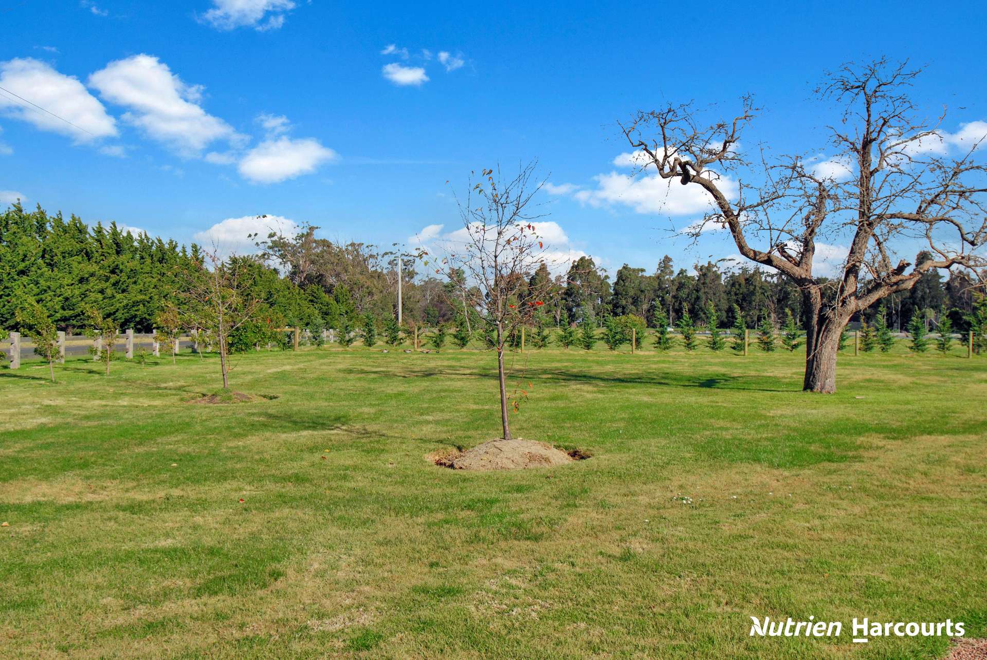 393 Tarra Valley Road, Devon North For Sale by Farmbuy.com - image 30