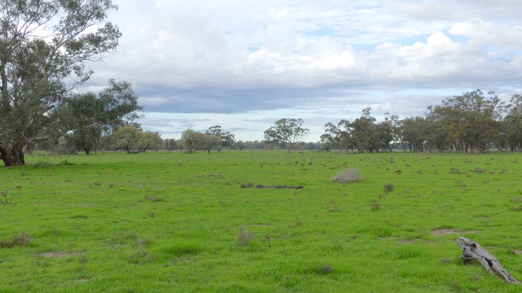 Warren NSW 2824