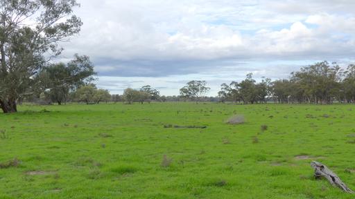 Warren NSW 2824
