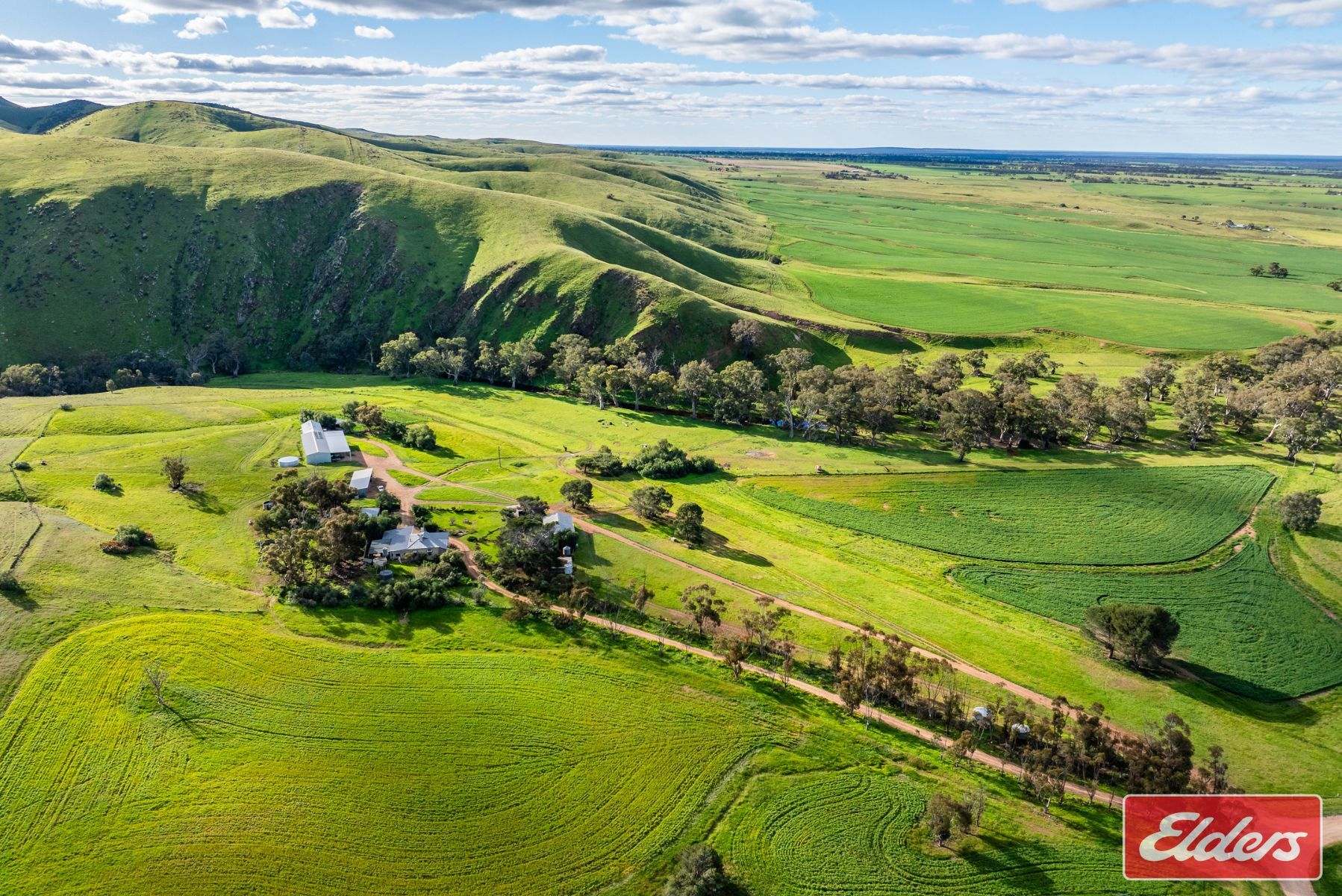 997 Three Chain Road, Cambrai For Sale by Farmbuy.com - image 5