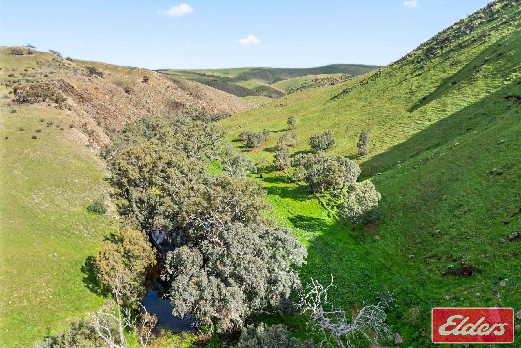 997 Three Chain Road, Cambrai For Sale by Farmbuy.com - image 25