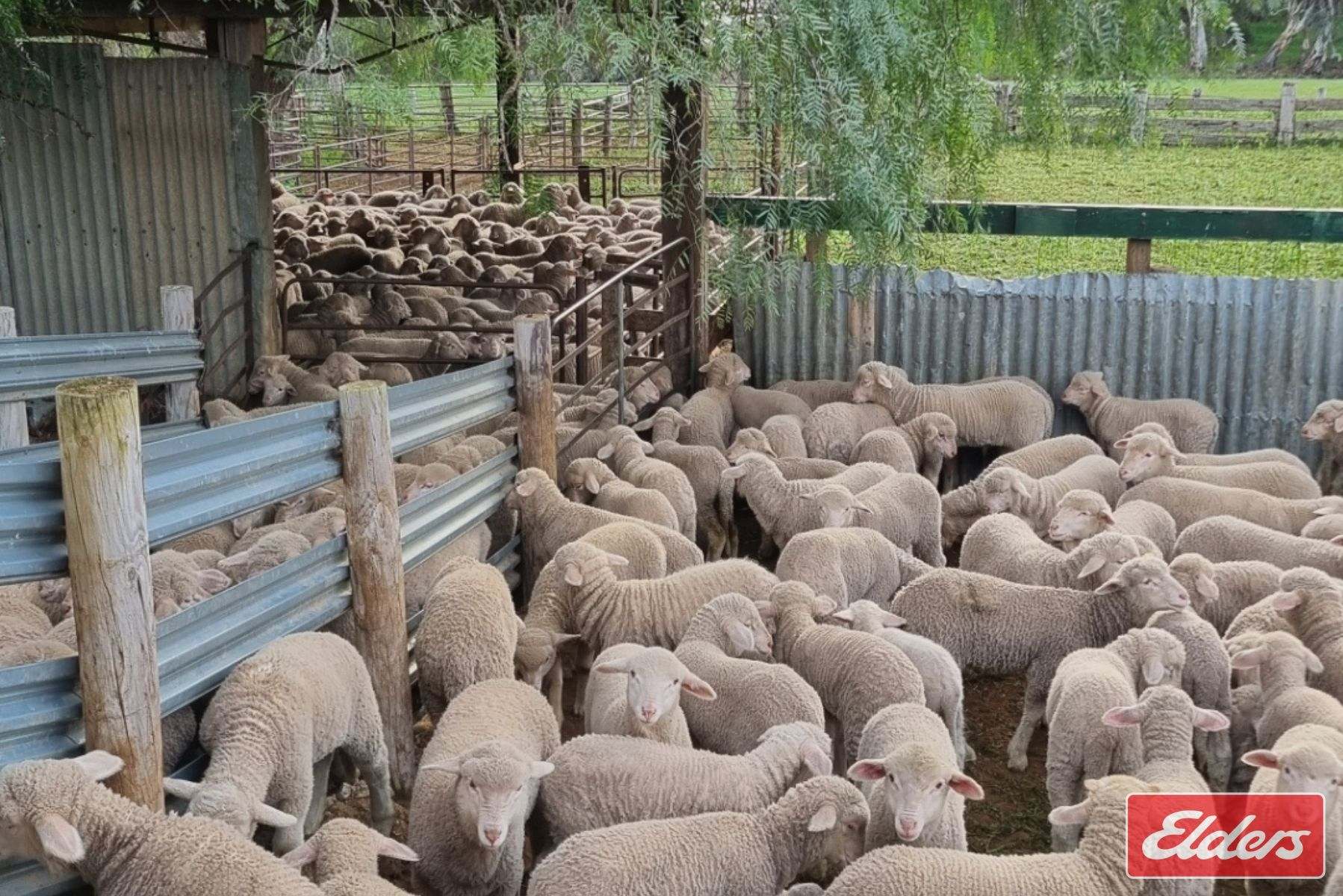 997 Three Chain Road, Cambrai For Sale by Farmbuy.com - image 31
