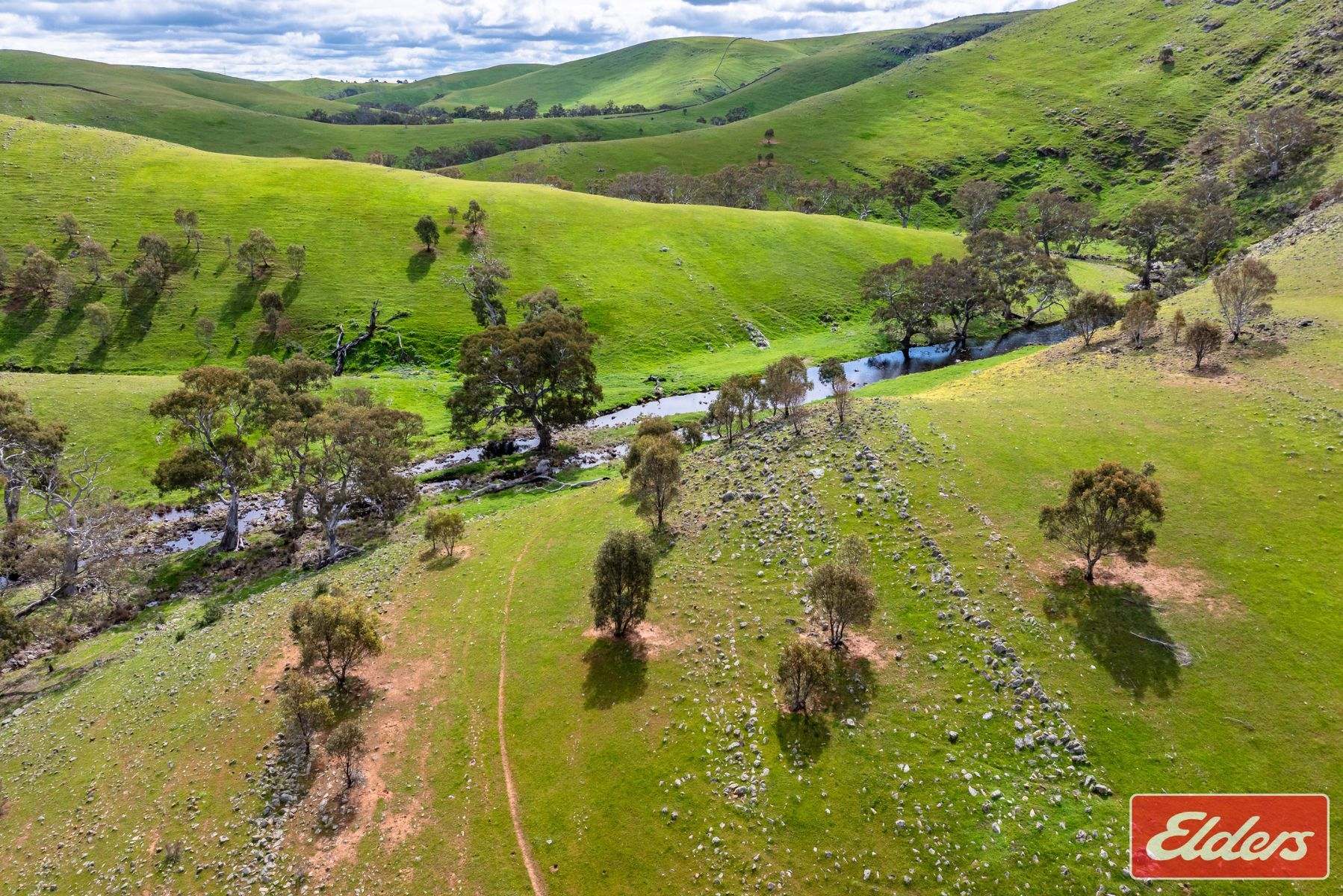 997 Three Chain Road, Cambrai For Sale by Farmbuy.com - image 20